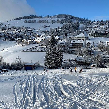Haus Am Sonnenberg,Todtnauberg, Ferienwohnung 002, Direkt Am Skilift-Skipiste, Naehe Feldberg Extérieur photo