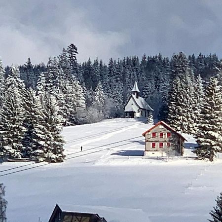 Haus Am Sonnenberg,Todtnauberg, Ferienwohnung 002, Direkt Am Skilift-Skipiste, Naehe Feldberg Extérieur photo
