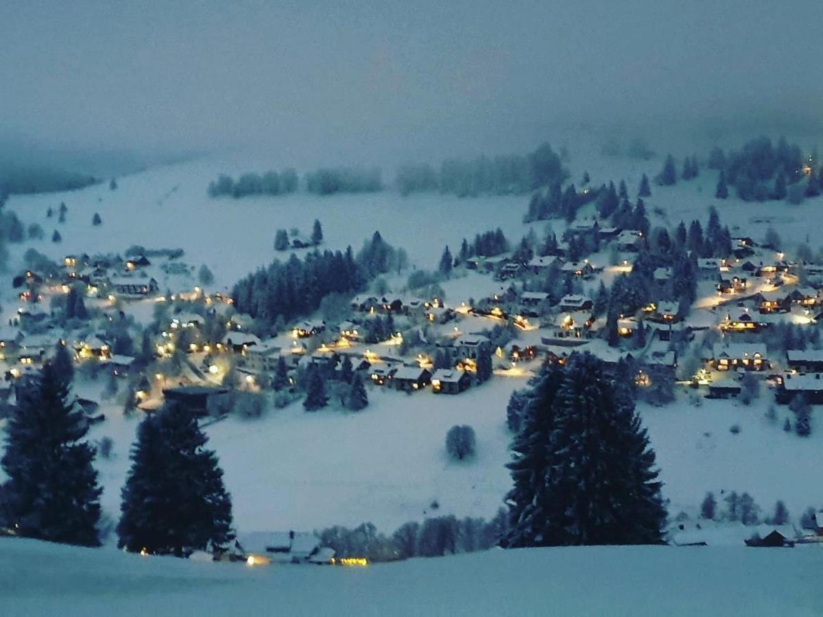 Haus Am Sonnenberg,Todtnauberg, Ferienwohnung 002, Direkt Am Skilift-Skipiste, Naehe Feldberg Extérieur photo