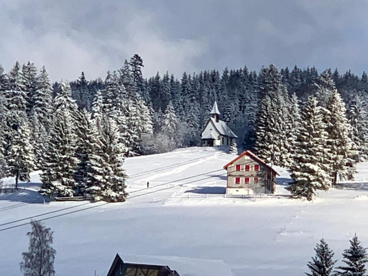 Haus Am Sonnenberg,Todtnauberg, Ferienwohnung 002, Direkt Am Skilift-Skipiste, Naehe Feldberg Extérieur photo